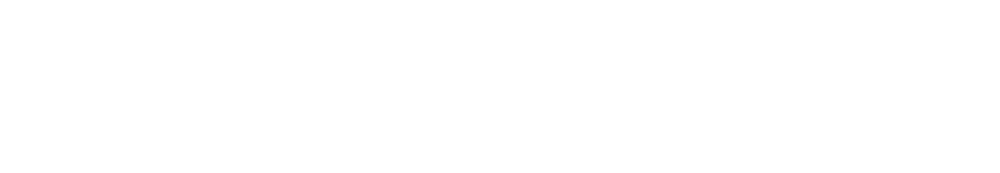 Nascar Logo