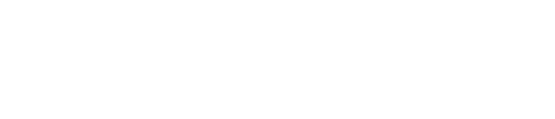 Soneium Logo
