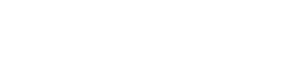 Todoist Logo