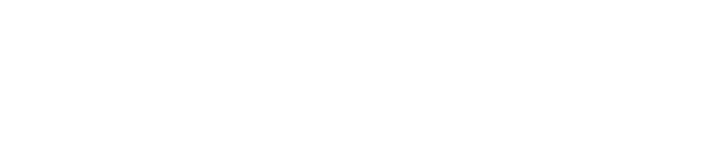 Wowza Logo