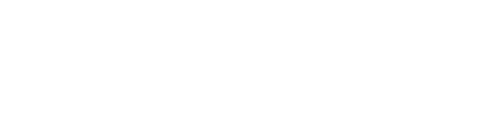 Zed Logo